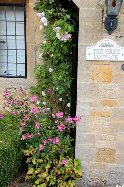 The Grey Cottage with climbing flowering vine. Lower Slaughter, England.
