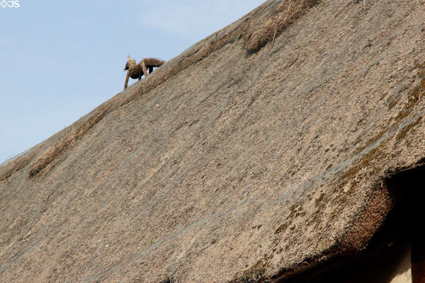 Close up view of thatched roof. Stanton, England.