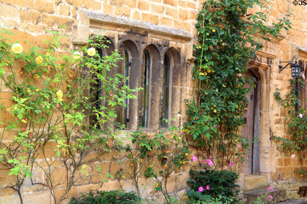 Shrubbery growing against wall of home lining village street. Stanton, England.