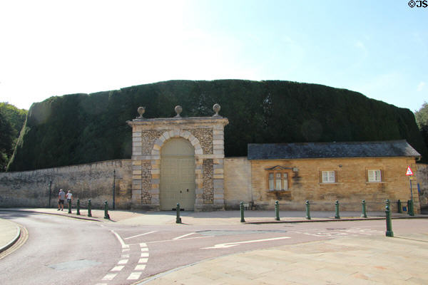Monumental yew hedge (planted 1818) behind gate to Cirencester Park. Cirencester, England.
