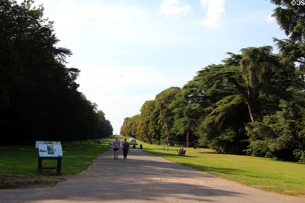 Pathway through Cirencester Park. Cirencester, England.