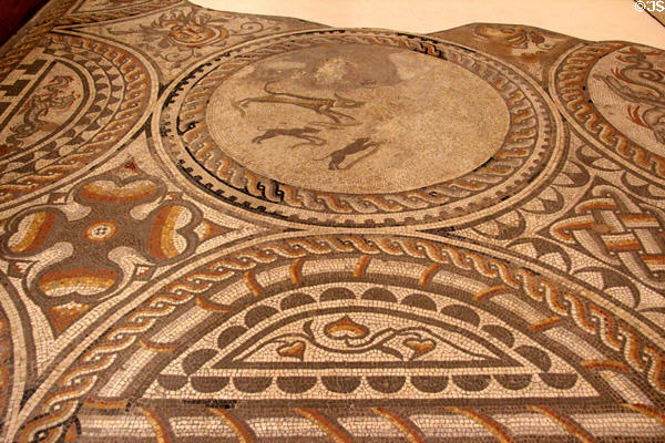 Hunting Dogs Pavement mosaic named after hounds depicted in central roundel found in Cirencester at Corinium Museum. Cirencester, England.