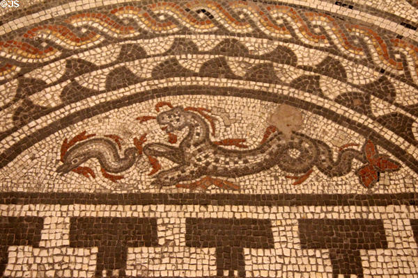 Detail (2ndC) from original Hunting Dogs Pavement mosaic, which had a marine theme, at Corinium Museum. Cirencester, England.