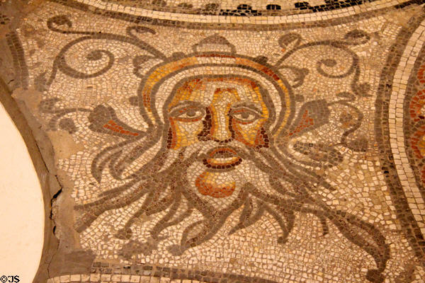 Roman mosaic detail at Corinium Museum. Cirencester, England.