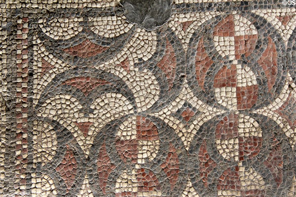Designs in mosaic floor in cold room (frigidarium) at Chedworth Roman Villa. England.