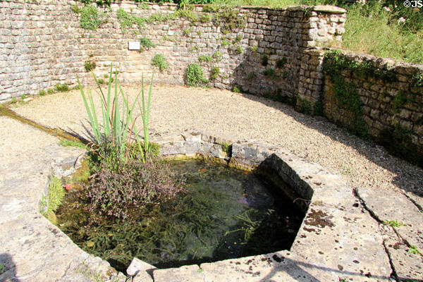 Water shrine (nymphaeum) built over a pool fed by a natural spring where offerings were made to female spirits of the spring at Chedworth Roman Villa. England.