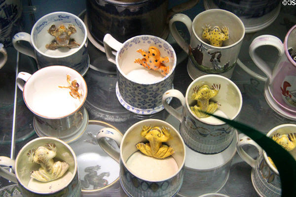 Collection of frog mugs used as jokes to startle 19thC beer drinkers when they saw toads considered poisonous emerge from their dark brews at Potteries Museum & Art Gallery. Hanley, Stoke-on-Trent, England.