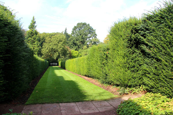Hedges at Wightwick Manor. Wolverhampton, England.