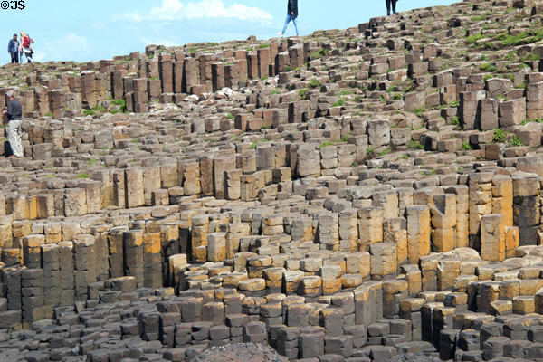 Massive array of volcanically formed hexagonal blocks of Giant's Causeway. Northern Ireland.