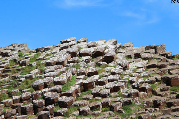 Giant's Causeway step array. Northern Ireland.