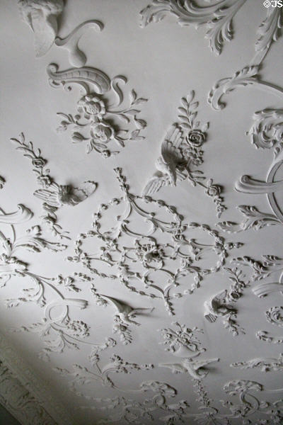 Upstairs hall plasterwork ceiling at Florence Court. Enniskillen, Northern Ireland.