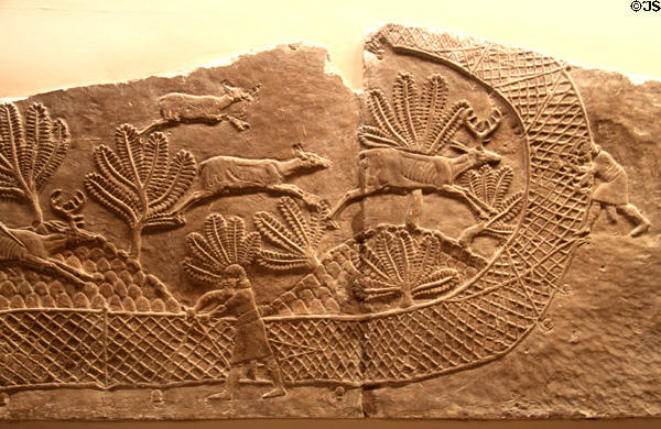 Assyrian carved panel shows netting of deer (c645-635 BCE) from North Palace of Nineveh at British Museum. London, United Kingdom.