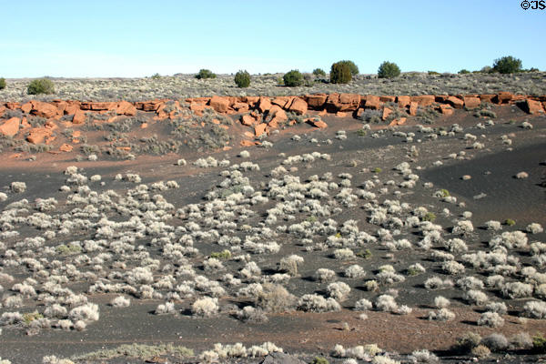 Desert north of Sunset Crater. AZ.