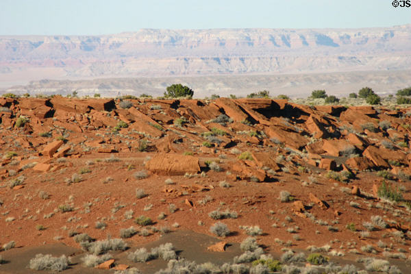Landscape of Wupatki National Monument. AZ.