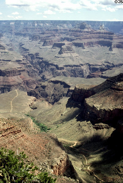 Grand Canyon National Park vista. AZ.