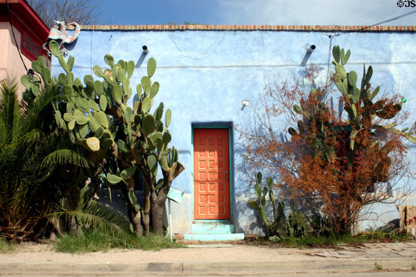 Cactus against adobe in Barrio Historico. Tucson, AZ.