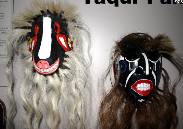 Yaqui (Yoemem) native Pahkola canine & human masks from Sonoran coast Mexico at Arizona State Museum. Tucson, AZ.