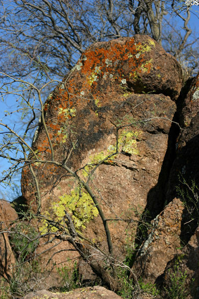 Lichens on rock at San Xavier del Bac Mission. Tucson, AZ.