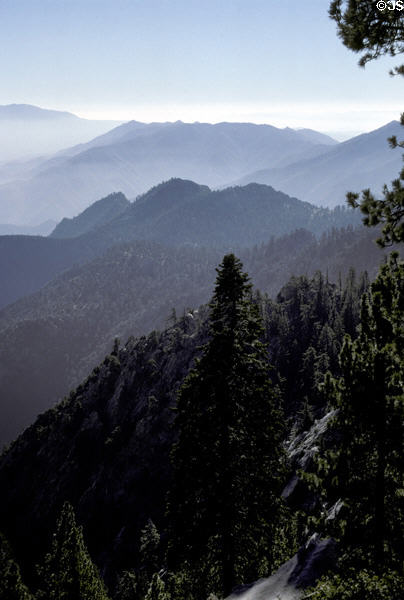 Mist covers ridges of San Jacinto State Park. CA.