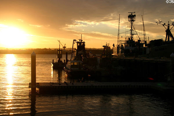 Harbor at sunset. San Diego, CA.