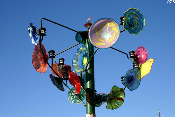 Tree Frozen in Time by Rodney Bass & James Stone in Urban Trees display. San Diego, CA.