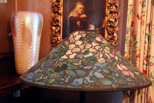 Tiffany-style stained glass lamp at Kimberly Crest House. Redlands, CA.