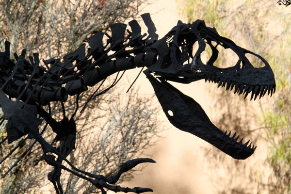 Allosaurus model at San Bernardino County Museum. Redlands, CA.