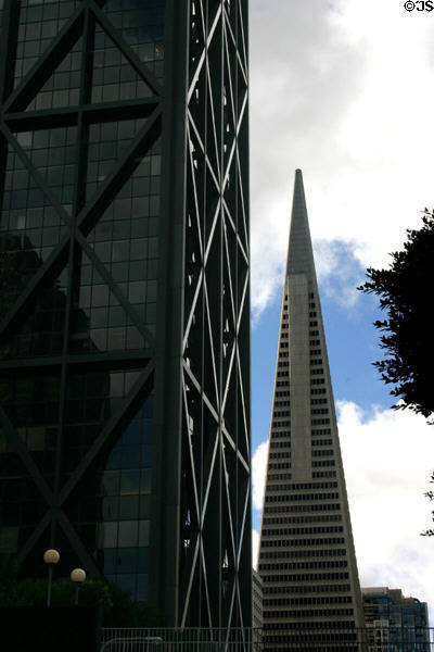 One Maritime Plaza & Transamerica Pyramid. San Francisco, CA.