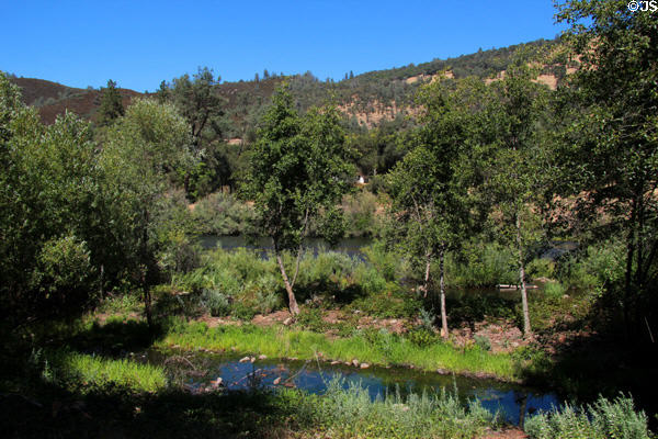 View of river & woods at Marshall Gold Discovery SHP. Coloma, CA.