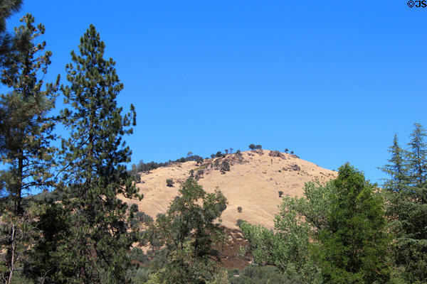 Landscape view with ponderosa pines at Marshall Gold Discovery SHP. Coloma, CA.