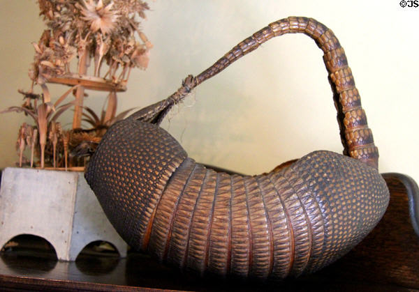 Armadillo handbag at Pardee Home Museum. Oakland, CA.