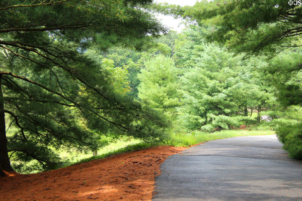 Entrance road of Philip Johnson Glass House. New Canaan, CT.