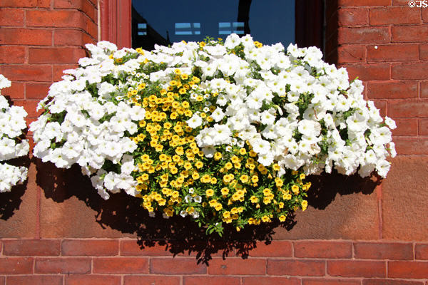 New London Union Station flowers. New London, CT.