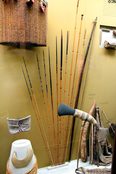 Collection of New Guinean wooden war arrows (Kapauku) at Yale Peabody Museum. New Haven, CT.
