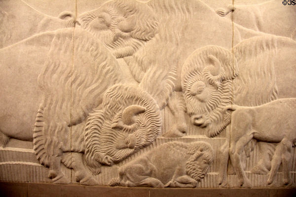 Buffalo relief (1939) by Boris Gilbertson on Department of the Interior building. Washington, DC.