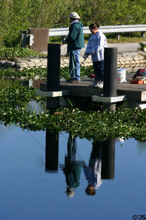 Fishing in the Everglades. FL.