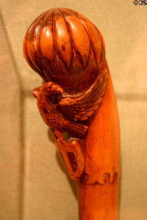 Walking stick made by Dr. Samuel Alexander Mudd who was imprisoned in July, 1865 for treating the broken leg of John Wilkes Booth who assassinated Abe Lincoln at Historical Museum of Southern Florida. Miami, FL.