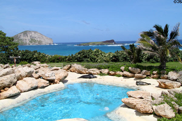 Seal pool with ocean beyond at Sea Life Park. HI.