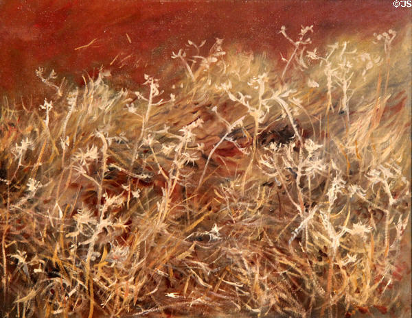 Thistles painting (1885-9) by John Singer Sargent at Art Institute of Chicago. Chicago, IL.