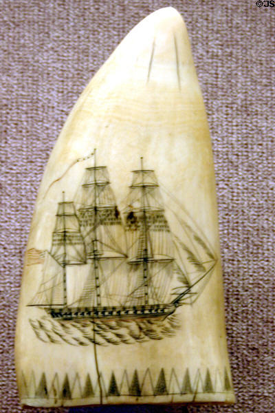 Ship portrayed on scrimshaw in JFK Library. Boston, MA.