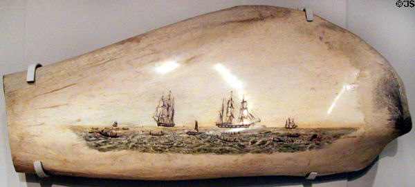 Scrimshaw (1954) by Leopold Harnois after whaling lithograph (1871) by Benjamin Russell at New Bedford Whaling Museum. New Bedford, MA.