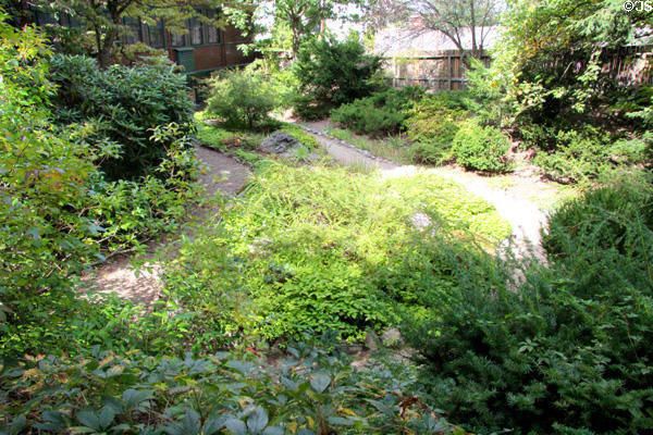 "Fairsted" garden design at Frederick Law Olmsted National Historic Site. Brookline, MA.