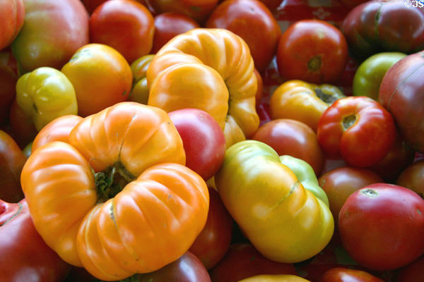 Tomatoes at Kansas City Market. Kansas City, MO.