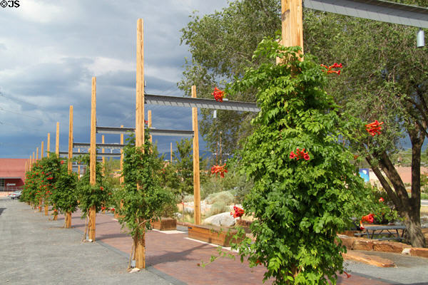 Pergola walkway at Santa Fe Railyard. Santa Fe, NM.