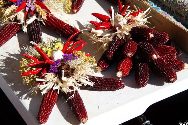 Corn bouquets at Sunday Santa Fe Farmers Market. Santa Fe, NM.
