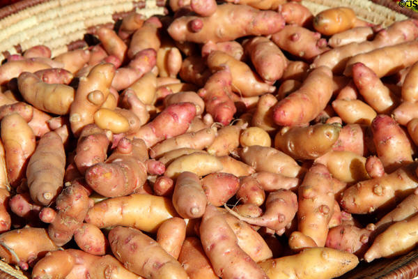 Potatoes at Sunday Santa Fe Farmers Market. Santa Fe, NM.
