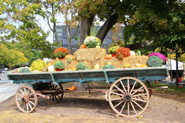 Fall display at Corning Museum of Glass. Corning, NY.