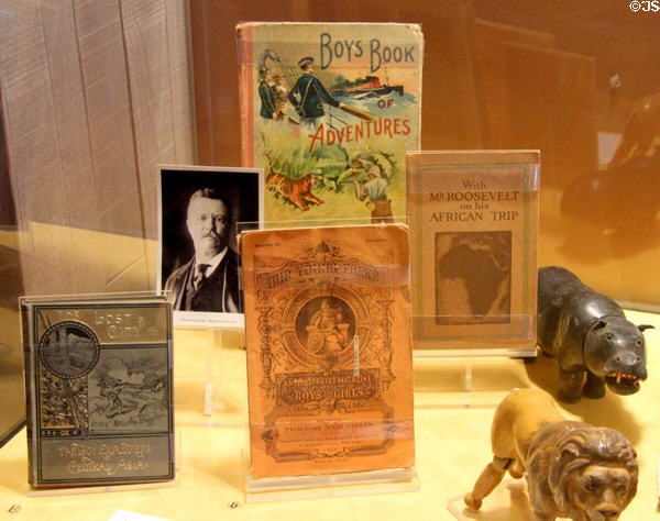 Vintage children's literature (late 19th to early 20thC) about exploring Africa with literature by Teddy Roosevelt at The Strong National Museum of Play. Rochester, NY.