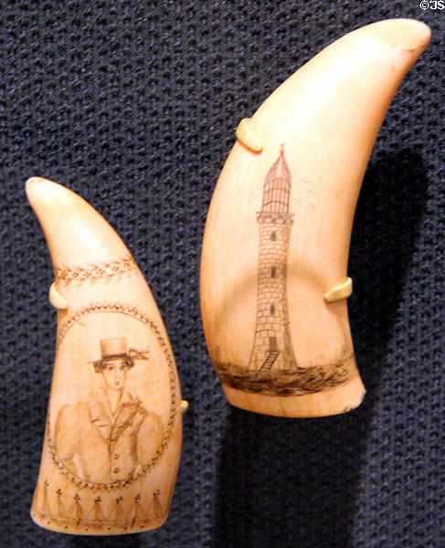 Scrimshaw sperm whale teeth (c1825-70) at Brooklyn Museum. Brooklyn, NY.