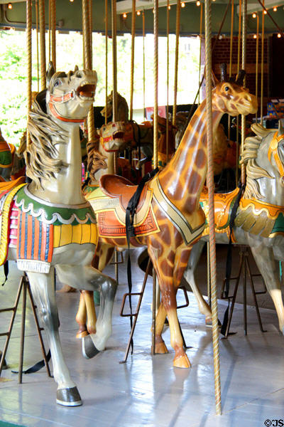 Prospect Park Carousel horse & giraffe (1912) by Charles Carmel. Brooklyn, NY.